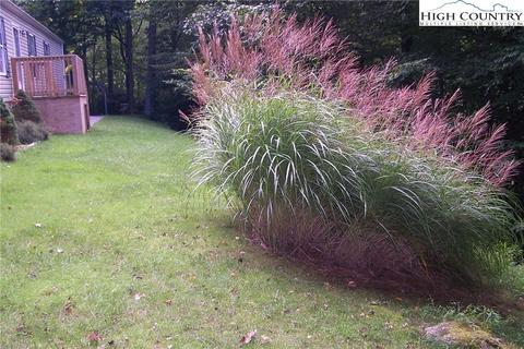 543 Laurel Fork Rd, Vilas, NC 28692 photo 8