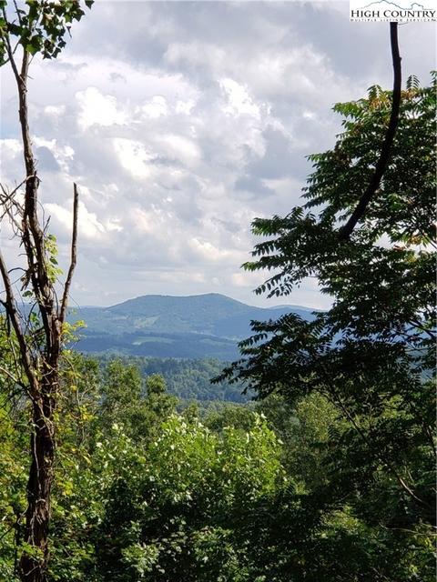 117 Point Lookout Ln, Independence, VA 24348