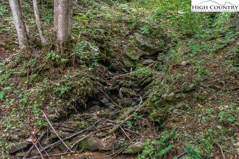 TBD Jakes Mountain Road, Deep Gap, NC 28618 photo 2