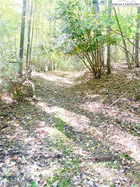 tbd Folger Rd, Sparta, NC 28675 photo 2