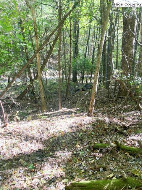 tbd Folger Rd, Sparta, NC 28675 photo 7