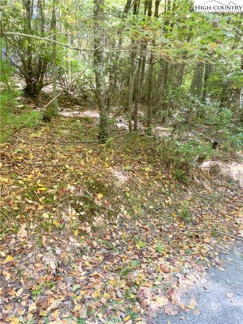 tbd Folger Rd, Sparta, NC 28675 photo 10