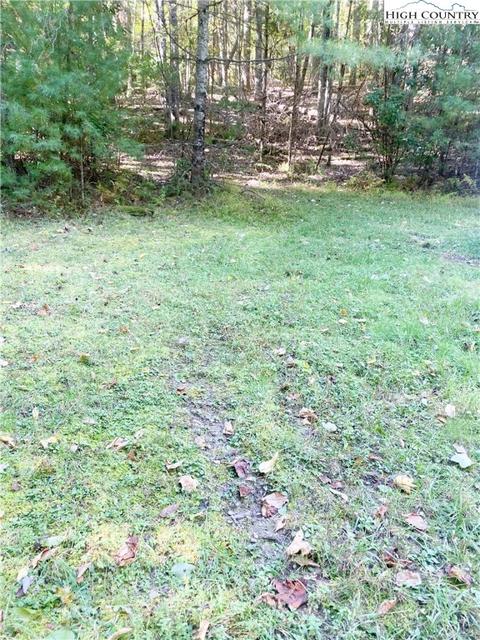 tbd Folger Rd, Sparta, NC 28675 photo 3