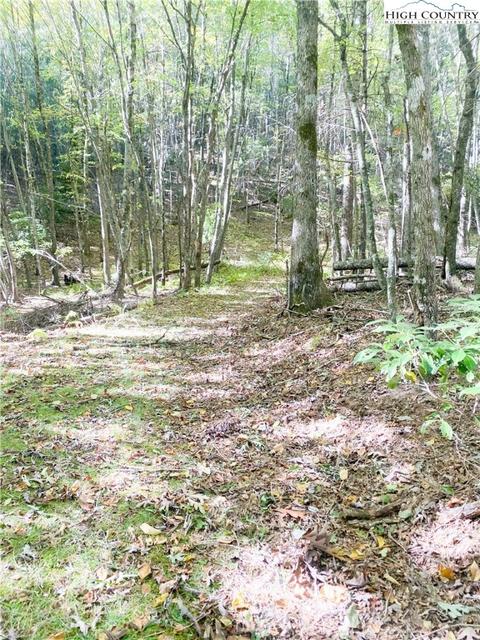 tbd Folger Rd, Sparta, NC 28675 photo 4