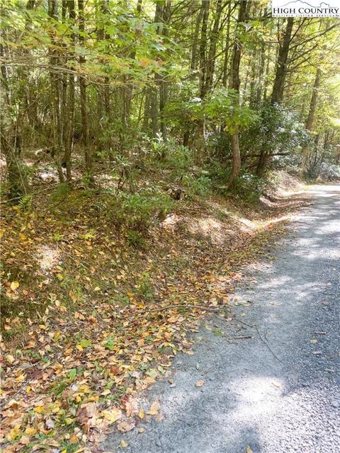 TBD Folger Road, Sparta, NC 28675