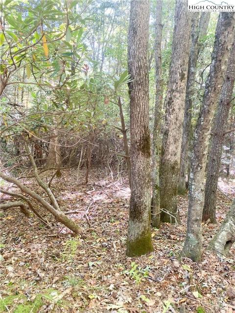 tbd Folger Rd, Sparta, NC 28675 photo 6