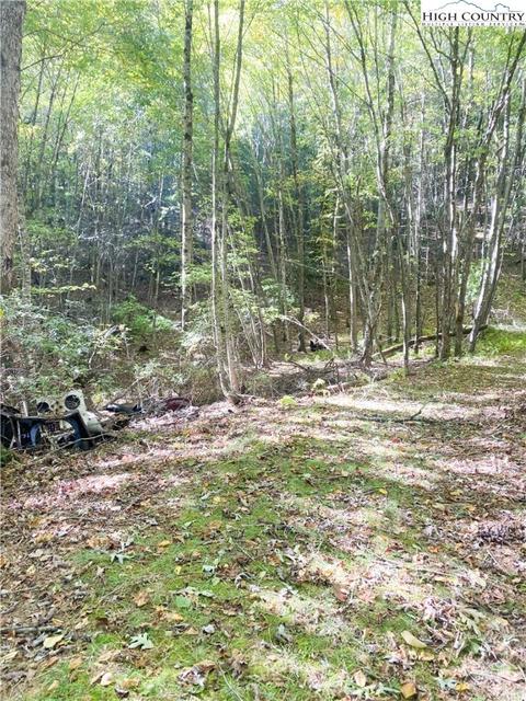 tbd Folger Rd, Sparta, NC 28675 photo 5
