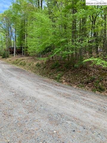 210 Rhododendron Dr, Beech Mountain, NC 28604 photo 2