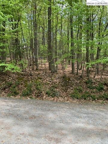 210 Rhododendron Dr, Beech Mountain, NC 28604 photo 4