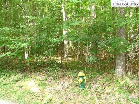 210 Rhododendron Dr, Beech Mountain, NC 28604 photo 1