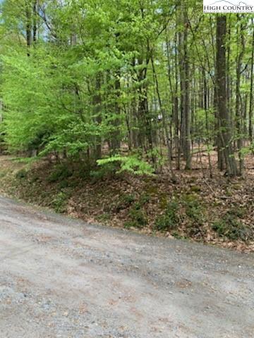 210 Rhododendron Dr, Beech Mountain, NC 28604 photo 5