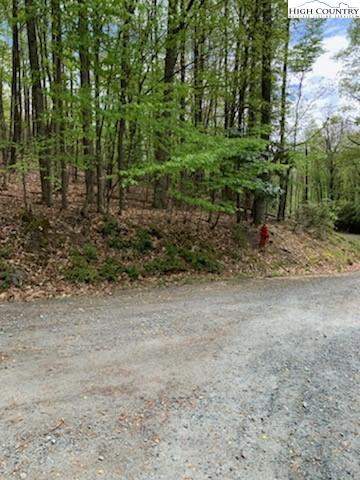 210 Rhododendron Dr, Beech Mountain, NC 28604 photo 3