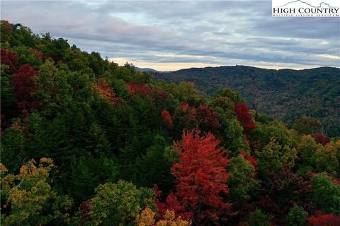 149 Buck Mountain Rd, Purlear, NC 28665 photo 6