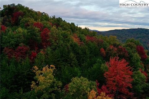 149 Buck Mountain Rd, Purlear, NC 28665 photo 5