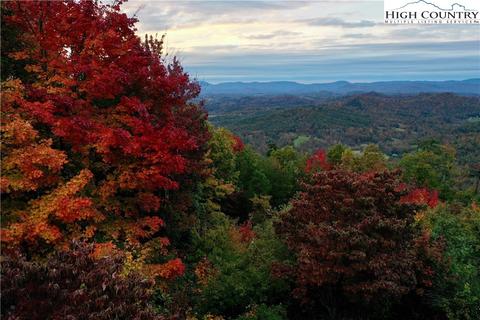 149 Buck Mountain Rd, Purlear, NC 28665