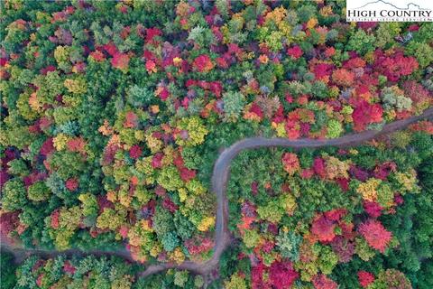 149 Buck Mountain Rd, Purlear, NC 28665 photo 4