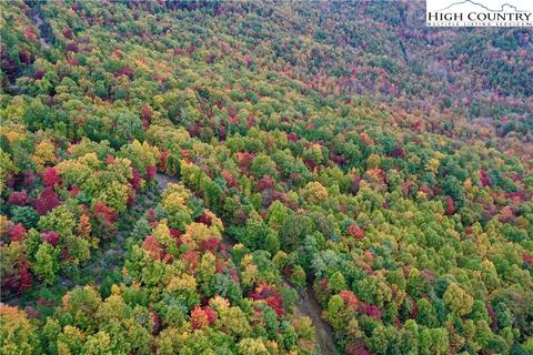 149 Buck Mountain Rd, Purlear, NC 28665 photo 2