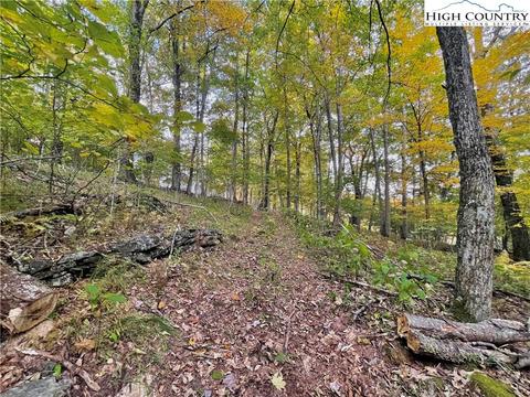 175 Woods Rd, Boone, NC 28607 photo 45