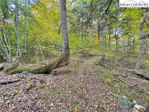 175 Woods Rd, Boone, NC 28607 photo 47