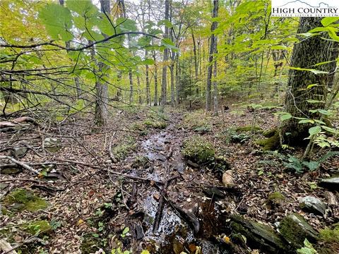 175 Woods Rd, Boone, NC 28607 photo 46