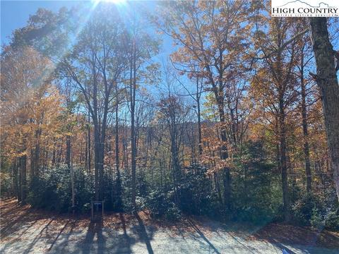 310 Poplar Dr, Beech Mountain, NC 28604 photo 6