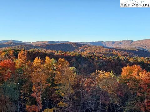 365 Doe Run Rd, Purlear, NC 28665 photo 28