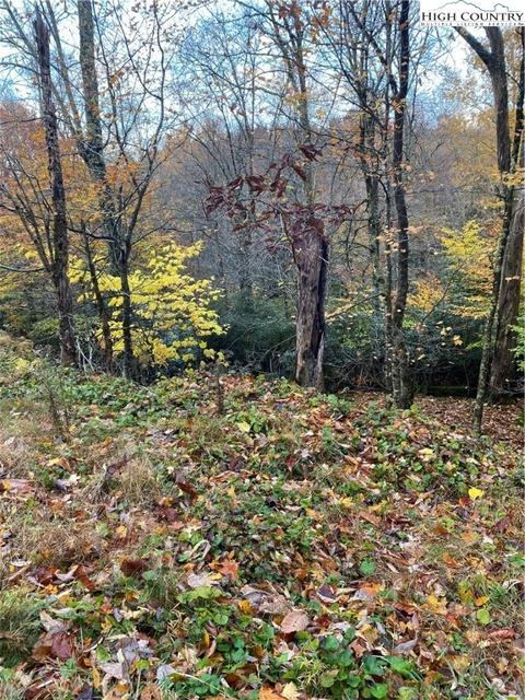 212 Greenbriar Rd, Beech Mountain, NC 28604 photo 5