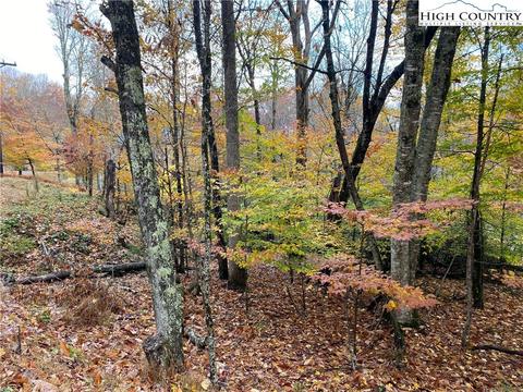 212 Greenbriar Rd, Beech Mountain, NC 28604 photo 4