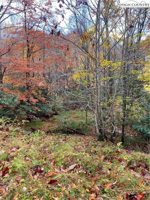 212 Greenbriar Rd, Beech Mountain, NC 28604 photo 9