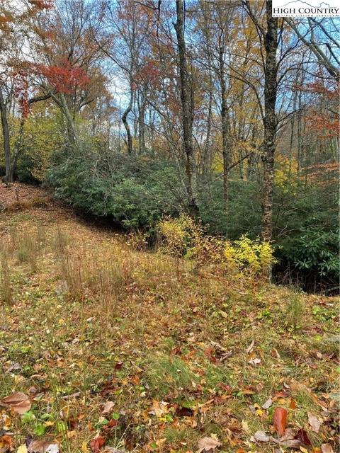 212 Greenbriar Rd, Beech Mountain, NC 28604 photo 10