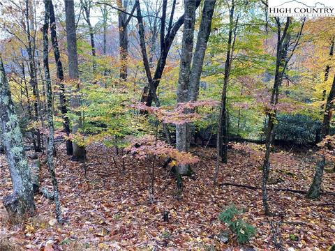 212 Greenbriar Rd, Beech Mountain, NC 28604 photo 3