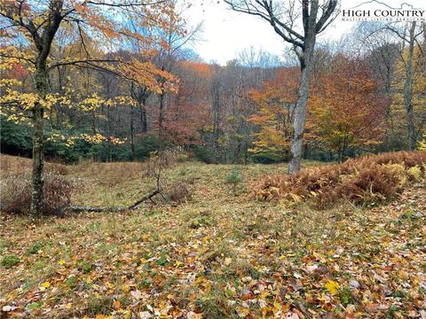 212 Greenbriar Rd, Beech Mountain, NC 28604 photo 1