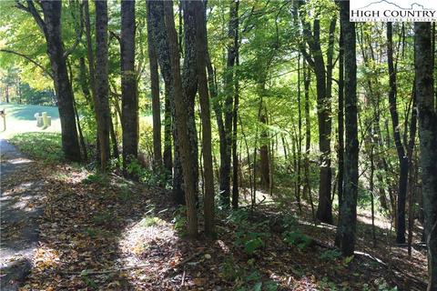 Lot 2 TBD Heather Lane, Banner Elk, NC 28604
