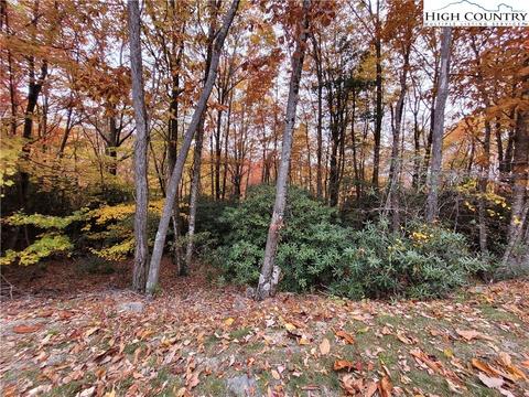 1134 Pine Ridge Rd, Beech Mountain, NC 28604