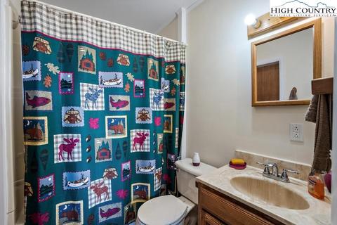 558 Blueberry Ln, Boone, NC 28607 photo 15