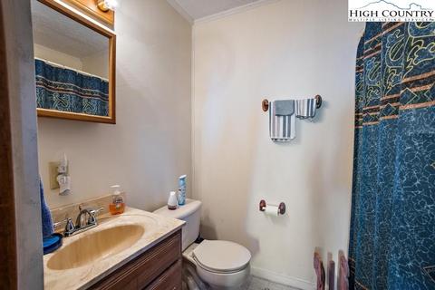 558 Blueberry Ln, Boone, NC 28607 photo 10