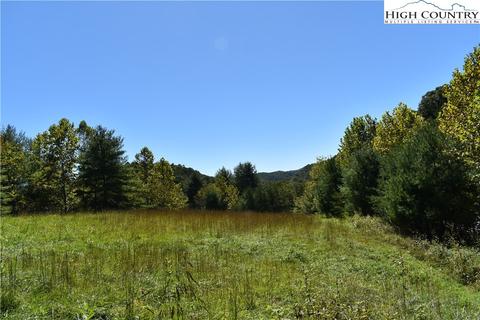 tbd East Weavers Ford Road, Grassy Creek, NC 28631