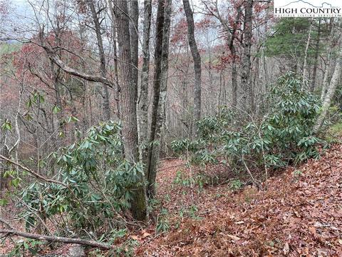 tbd Lot 19 Lost Trl, West Jefferson, NC 28694