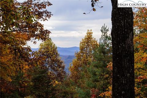899 Bobcat Mountain Rd, Purlear, NC 28665 photo 36