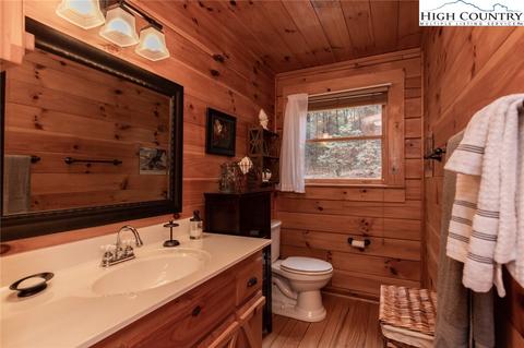 899 Bobcat Mountain Rd, Purlear, NC 28665 photo 26