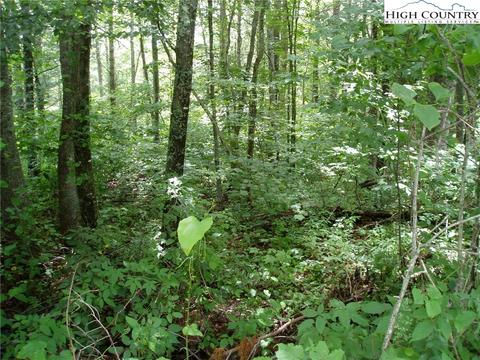 133 Hollow Tree Rd, Beech Mountain, NC 28604 photo 1