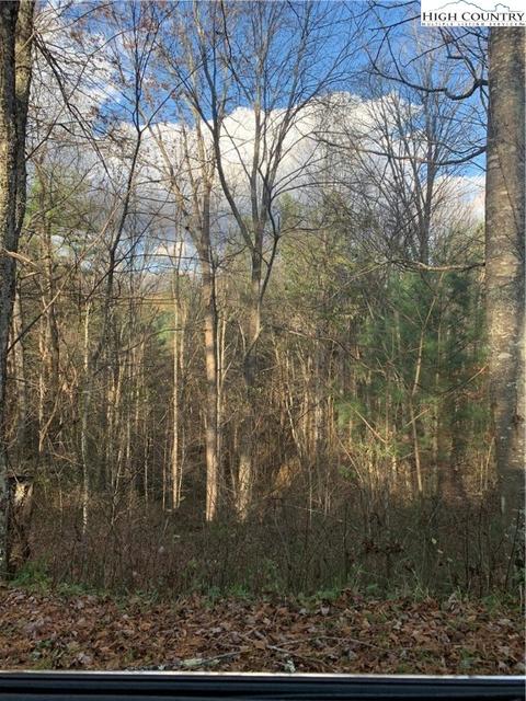 tbd Old Mountain Rd, Creston, NC 28615 photo 2