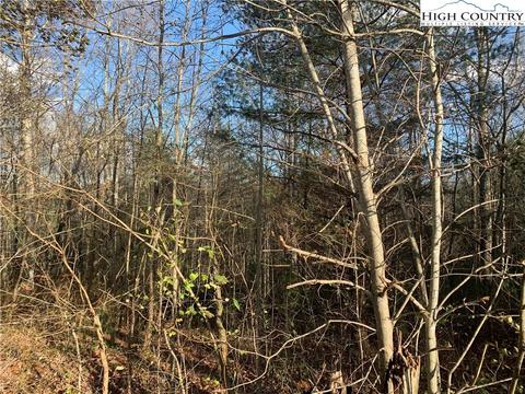 tbd Old Mountain Rd, Creston, NC 28615 photo 3
