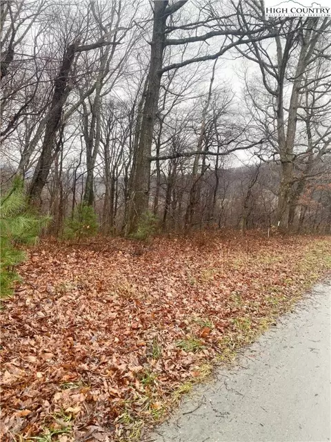 lot Apt 7 Toms Knob, Sparta, NC 28675