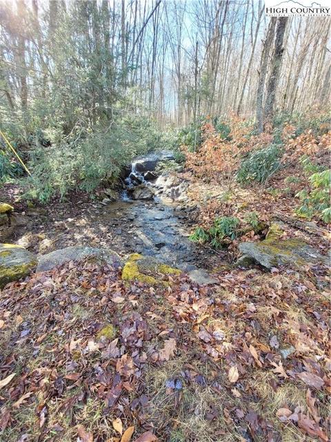 141 Wild Daisy Ln 96 Ac Tract, Beech Mountain, NC 28604