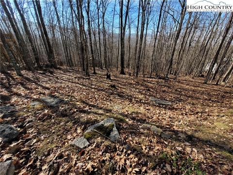 535 Pine Ridge Rd, Beech Mountain, NC 28604 photo 3