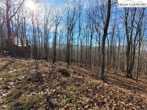 535 Pine Ridge Rd, Beech Mountain, NC 28604 photo 6