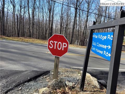 535 Pine Ridge Rd, Beech Mountain, NC 28604 photo 2