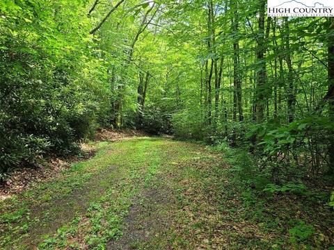 TBD Mount Pleasant Road, Newland, NC 28657