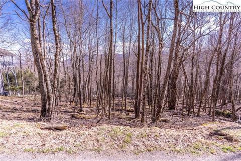 28 Buckeye Lane, Seven Devils, NC 28604 photo 2